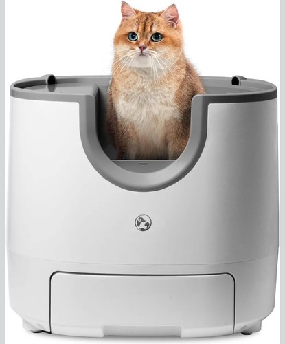 Lettiera gatto autopulente - gatto,