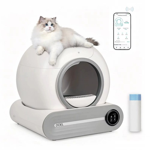 Lettiera gatto autopulente - gatto,