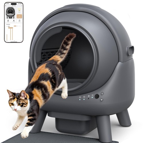 Lettiera gatto autopulente - gatto,