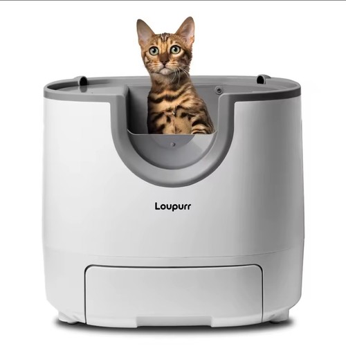 Lettiera automatica per gatti - lettiera,