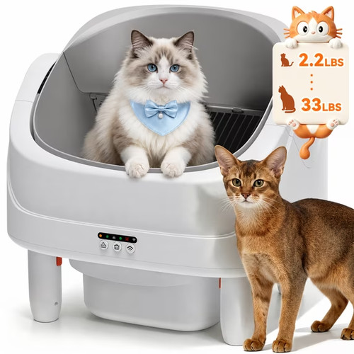 Nuovissima lettiera per - , gatti