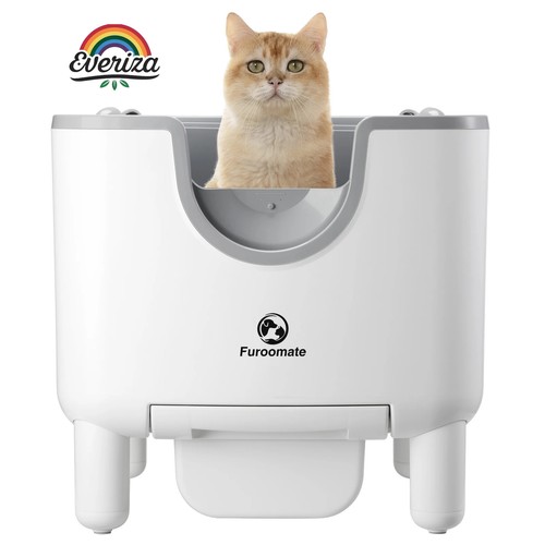 Lettiera gatto autopulente - lettiera,