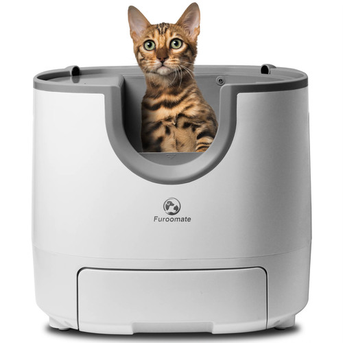 Lettiera gatto autopulente - gatto,