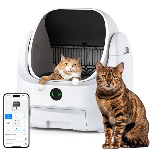 Lettiera gatto autopulente - lettiera,