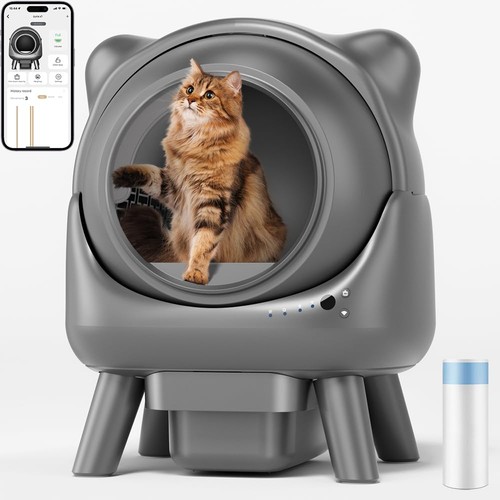 Cura lettiera gatto - cura,