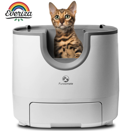 Lettiera gatto autopulente - lettiera,