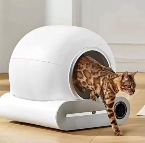 Lettiera gatto autopulente - lettiera,