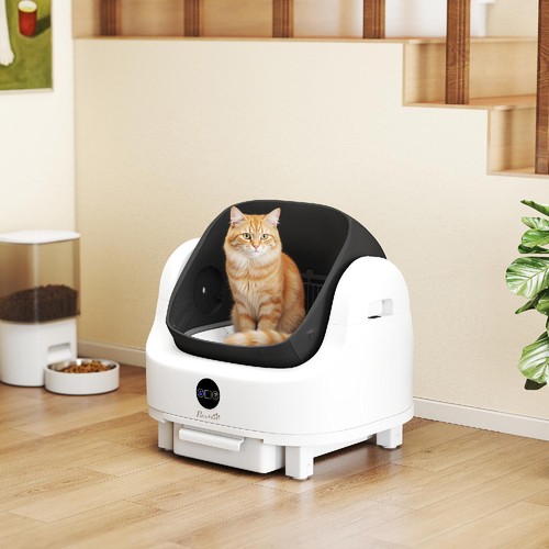 Allmypets lettiera per gatti - per,