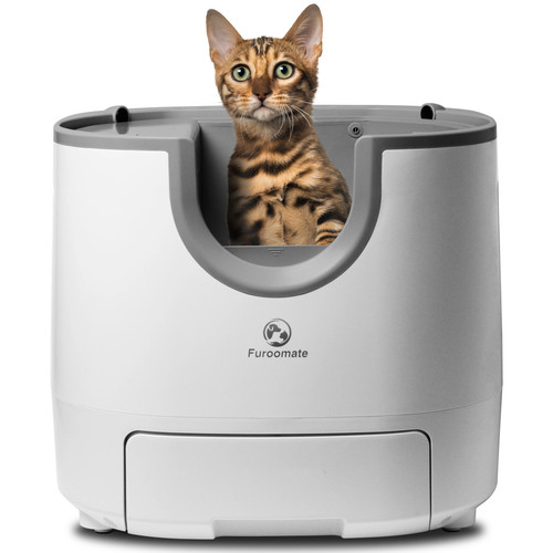 Lettiera gatto autopulente - lettiera,