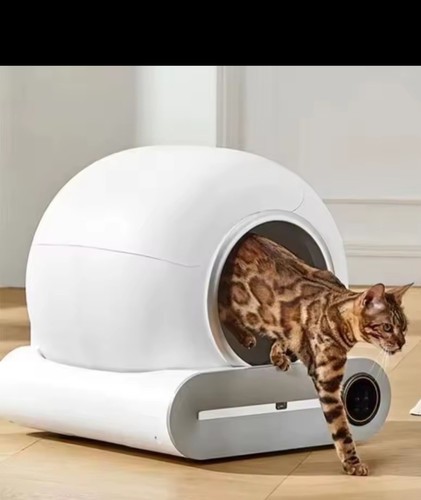 Smart lettiera gatti - smart,