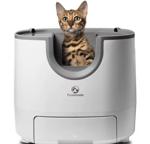 Lettiera gatto autopulente - lettiera,
