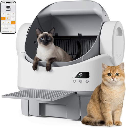 Lettiera gatto autopulente - lettiera,