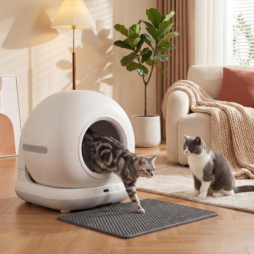 Lettiera per gatti - per, autopulente